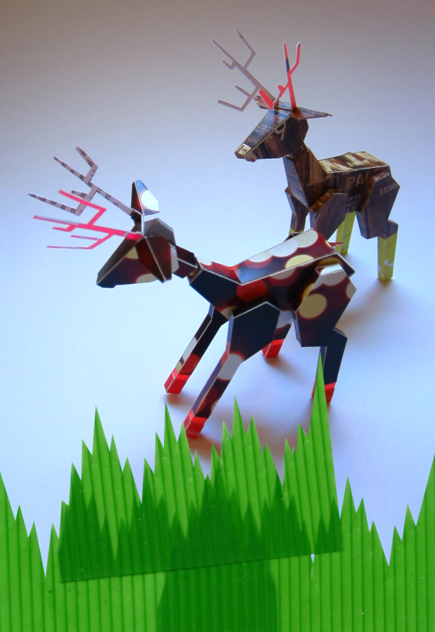 green grass deer_sarah